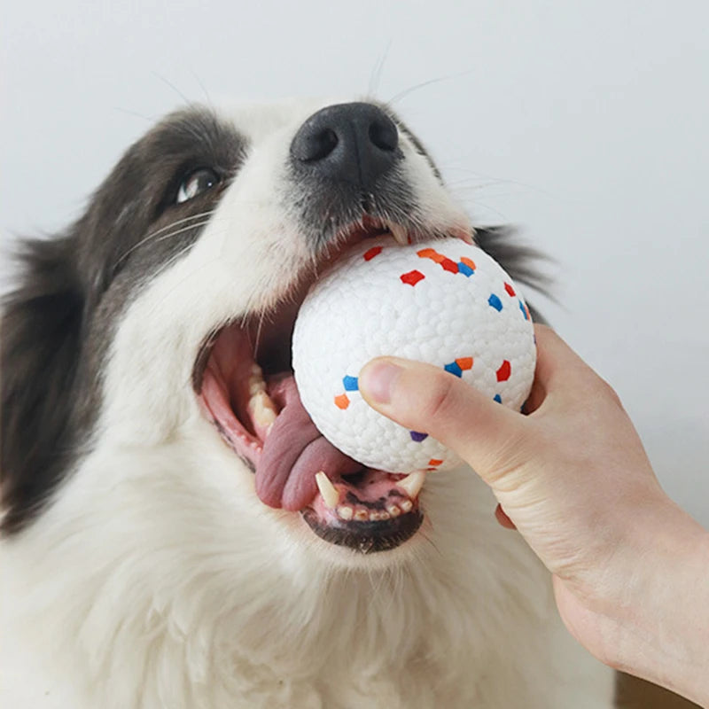 Bolinha de Morder para Cachorro